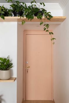 a pink door with some plants on the ledge
