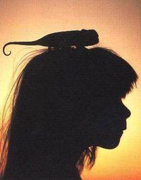 the silhouette of a woman with a hair dryer on her head in front of an orange sky