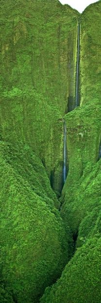 utterly breathtaking! Honokohau National Historic Park, Big Island, Hawaii. hawaiianforyou.com Big Island Hawaii, Oahu, Maui, Wanderlust, Island, Big Island