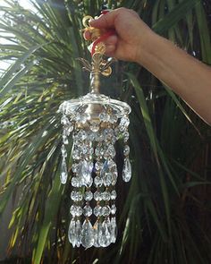 a hand holding a crystal chandelier in front of a palm leafy tree