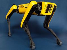 How Boston Dynamics’ Spot Robot Works! #technology #innovation #business #tech #technews #Ai #science #robotics Toys, Boston, Drones, Drone Technology, Artificial Intelligence Technology, Big Robots, Tools, Four Legged, Nuclear