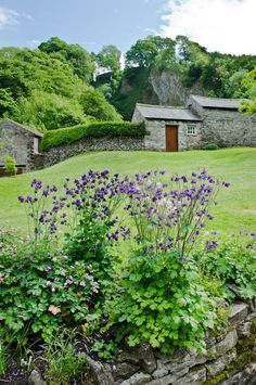 an old stone house surrounded by lush green grass and flowers in the foreground, next to a rock wall