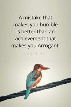 a bird sitting on top of a power line with a quote above it that reads, a mistake that makes you humble is better than an achievement that makes you arrogant