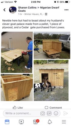 an instagramted photo shows the process of building a dog house