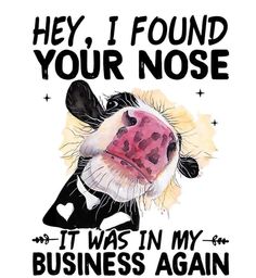 a cow that is wearing a black and white shirt with the words, hey i found your nose it was in my business again