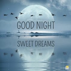 the words good night sweet dreams are in front of an image of birds flying over water