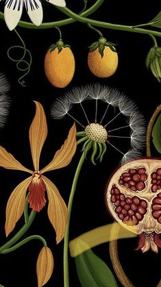 a painting of flowers and fruit on a black background