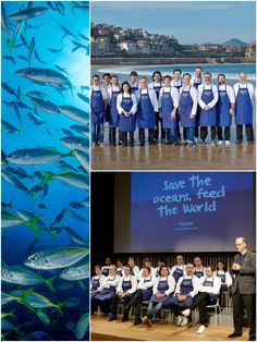 several pictures of people in blue aprons standing on stage with fish swimming around them