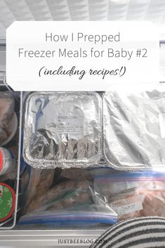 freezer meals for baby 2 including frozen meats and other foods in the refrigerator