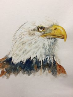 Watercolour Art, Watercolour Paintings, Watercolor Bird, Birds Painting, Bird Paintings