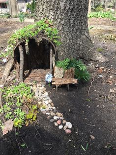a fairy house built into the side of a tree