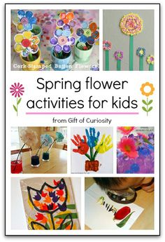 spring flower activities for kids from gift of curiosity