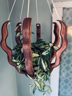 a plant hanging from a wooden chandelier