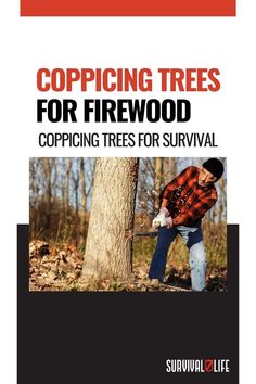 Coppicing Trees for Survival Wood, Firewood