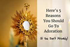 there's 5 reasons you should go to adoration if you don't already