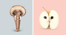 an apple and an elephant with their faces in the shape of eyes on different sides