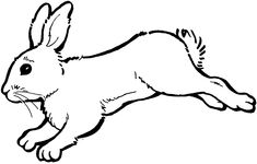 Animales, Dieren, Rabbit Illustration