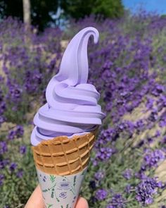 a hand holding an ice cream cone with lavender flowers in the background