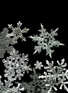 snow flakes are shown in black and white