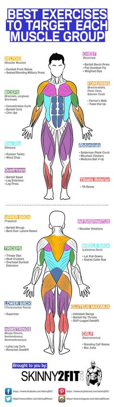 @hotinfographics : Best Exercises To Target Each Muscle Group Infographic - https://t.co/QULeoFQNk8 Bodybuilding, Body Building Motivation
