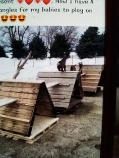 there are wooden slats with animals on them in the snow and one has an apple tree
