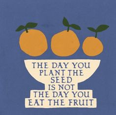 two oranges sitting on top of a bowl that says, the day you plant the seed is not the day you eat the fruit