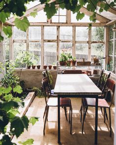 a table and chairs in a room with lots of potted plants on the windowsill