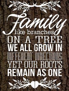 a sign that says family like branches on a tree, we all grow in different directions yet our roots remain as one