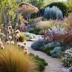 a garden filled with lots of different types of plants