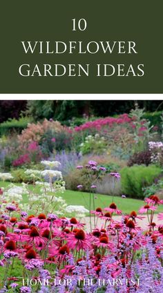 an image of flowers in the garden with text that reads 10 wildflower garden ideas