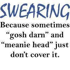 a sign that says swearing because sometimes gosh damn and meanie head just don't cover it