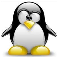 Les pingouins ne savent pas voler. Windows, Usb, Smartphone, Android, Usb Drive, Android Smartphone, Access, Windows Computer