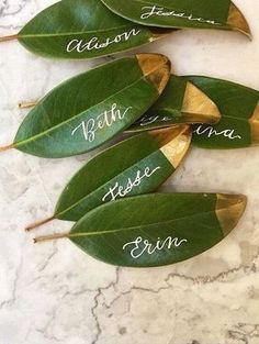 four green leaves with names on them sitting on a marble counter top next to each other
