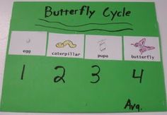 a green bulletin board with numbers and pictures on it that say butterflies, caterpillars