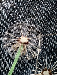 a dandelion with white and green needles sticking out of it