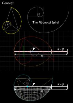 the fibonaci spiral is shown in three different angles, including one with an equilon