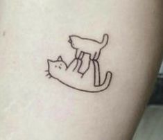 a cat and a kitten sitting on top of each other, tattooing one another