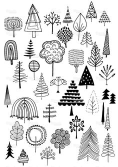 various trees and bushes drawn in black ink