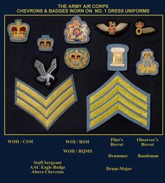 the uniforms and insignias of chevrons & badges worn on 1 dress uniforms