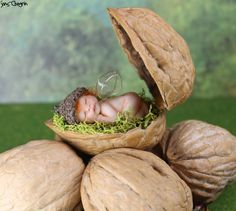there is a small baby sleeping in some nuts