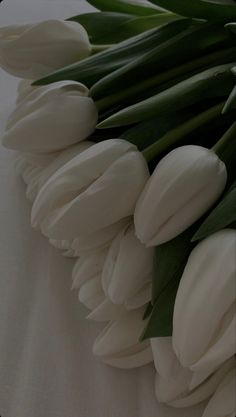 Green Aesthetic, Aesthetic Iphone Wallpaper, Photography Themes, Pictures, Love Flowers
