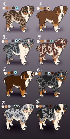 the different breeds of dogs are depicted in this graphic style, including one brown and white dog