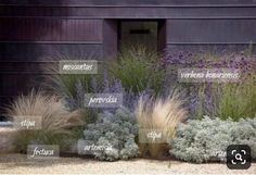 the names of different plants in front of a purple building with black lettering on it