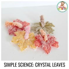 three different colored leaves with the words simple science crystal leaves