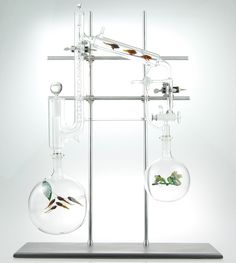 kiva-3 Inspiration, Art Nouveau, Miniature, Dale Chihuly, Hand Blown Glass, Design, Perfume, Glass Aquarium, Glass Vessel