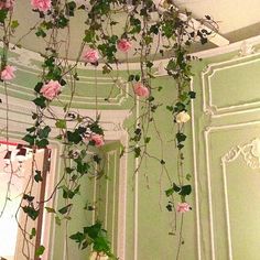 pink roses growing on the side of a white wall in a room with an arched doorway