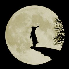a person standing on top of a hill in front of a full moon
