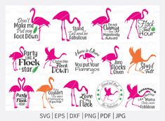 pink flamingos svg files for silhouettes and cricut designs, with the words party like a flock on them