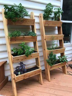 two wooden shelves with plants growing on top of each other in front of a house