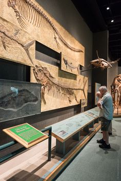 a man standing in front of a museum display with fossil specimens on it's walls
